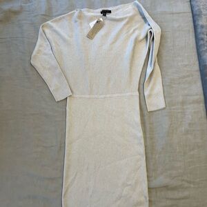 Banana Republic Sparkle Knit Dress Petite XS